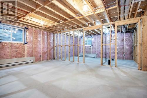 20 Reddley Place, Conception Bay South, NL - Indoor Photo Showing Basement