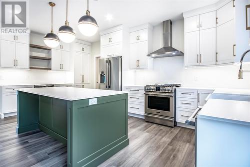 20 Reddley Place, Conception Bay South, NL - Indoor Photo Showing Kitchen With Upgraded Kitchen