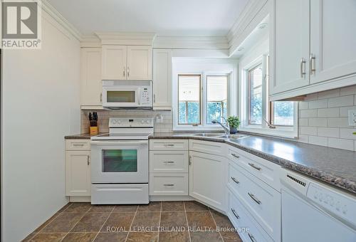 107 Tweedsmuir Avenue, London, ON - Indoor Photo Showing Kitchen With Double Sink