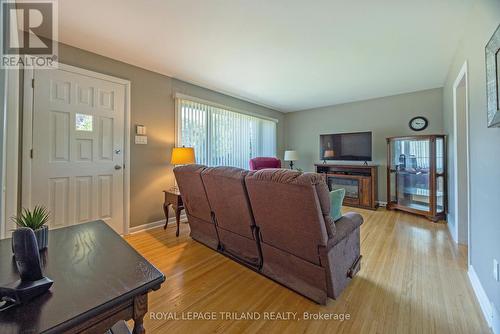 107 Tweedsmuir Avenue, London, ON - Indoor Photo Showing Living Room