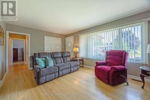 107 Tweedsmuir Avenue, London, ON - Indoor Photo Showing Living Room