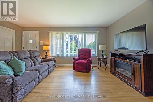 107 Tweedsmuir Avenue, London, ON - Indoor Photo Showing Living Room