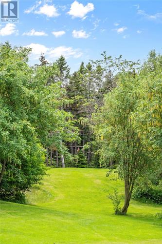 35 Cherry Lane, Conception Bay South, NL - Outdoor With View