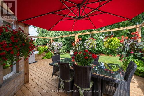 Lush and private backyard oasis - 1822 Gough Avenue, London, ON - Outdoor With Deck Patio Veranda