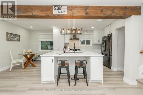 51 Delmar Drive, Hamilton, ON - Indoor Photo Showing Kitchen