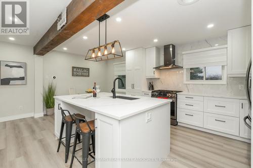 51 Delmar Drive, Hamilton, ON - Indoor Photo Showing Kitchen With Upgraded Kitchen