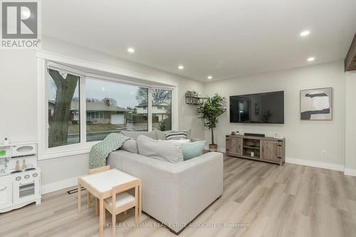 51 Delmar Drive, Hamilton, ON - Indoor Photo Showing Living Room