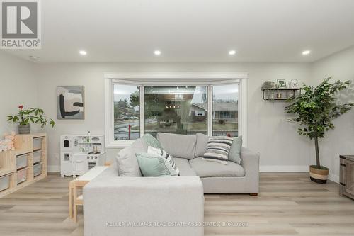 51 Delmar Drive, Hamilton, ON - Indoor Photo Showing Living Room