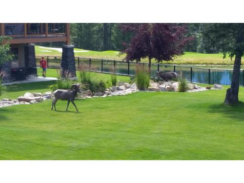 715 D - 700 Bighorn Boulevard, Radium Hot Springs, BC - Outdoor With Backyard