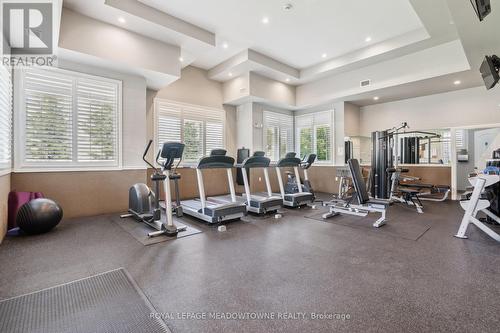 205 - 1450 Main Street E, Milton (Dempsey), ON - Indoor Photo Showing Gym Room