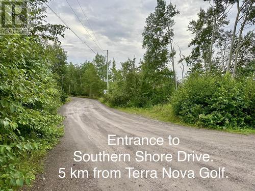 0 Southern Shore Drive, Port Blandford, NL 