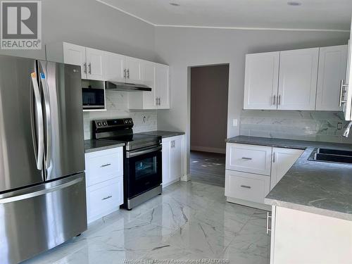 3009 Apple Lane, Windsor, ON - Indoor Photo Showing Kitchen