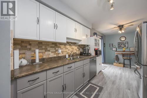 239 Portsmouth Crescent E, London, ON - Indoor Photo Showing Kitchen With Double Sink