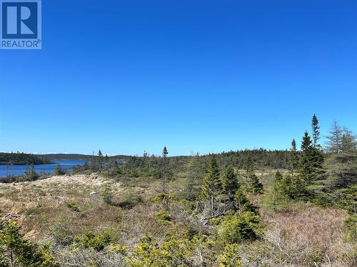 3 Gull Pond Road, New Harbour, NL - Outdoor With View