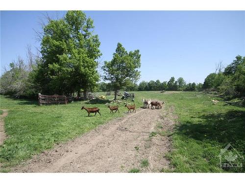 3159 8Th Line Road, Metcalfe, ON 