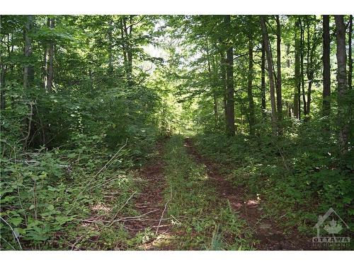 3159 8Th Line Road, Metcalfe, ON 