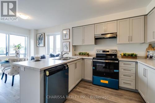 36 Dryden Lane, Hamilton (Mcquesten), ON - Indoor Photo Showing Kitchen With Double Sink