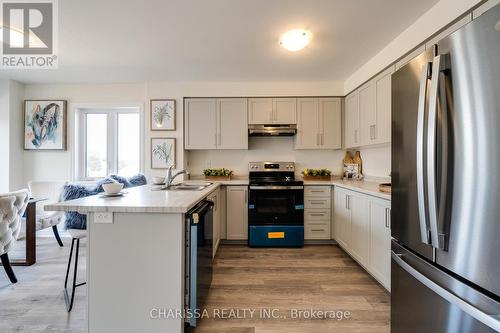 36 Dryden Lane, Hamilton (Mcquesten), ON - Indoor Photo Showing Kitchen With Stainless Steel Kitchen With Double Sink