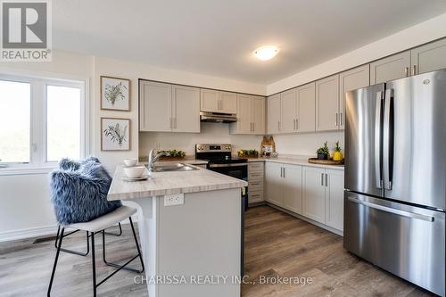 36 Dryden Lane, Hamilton (Mcquesten), ON - Indoor Photo Showing Kitchen With Stainless Steel Kitchen With Double Sink