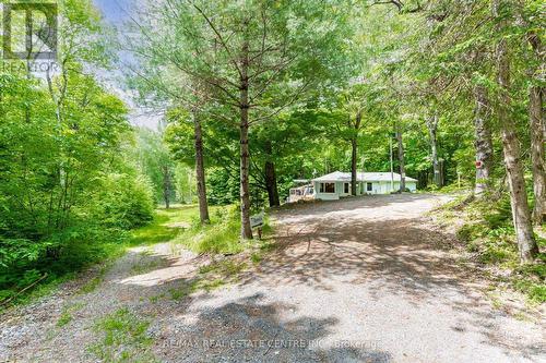 1388 Carlsmount Road, Bracebridge, ON - Outdoor