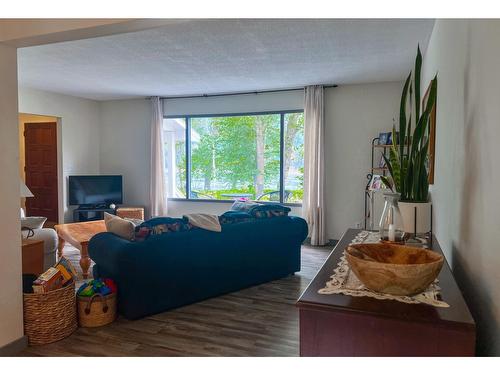 3016 1St Avenue, Castlegar, BC - Indoor Photo Showing Living Room