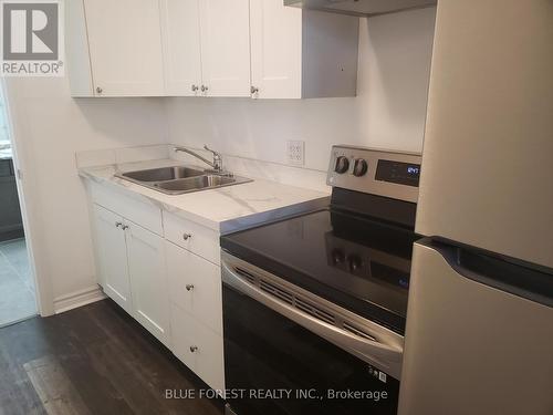 39 Yvonne Crescent, London, ON - Indoor Photo Showing Kitchen With Double Sink