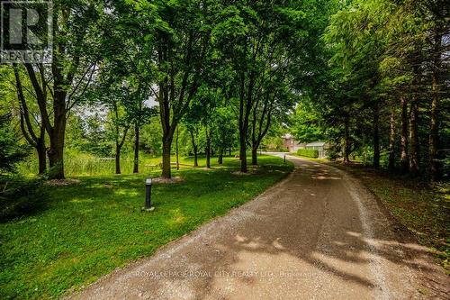 7456 Wellington Road 51, Guelph/Eramosa, ON - Outdoor With View