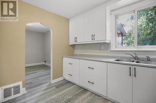 243 Holmesdale Avenue, Hamilton (Bartonville), ON - Indoor Photo Showing Kitchen With Double Sink