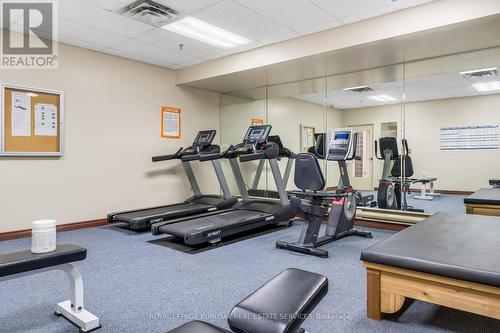 511 - 495 #8 Highway, Hamilton (Stoney Creek), ON - Indoor Photo Showing Gym Room