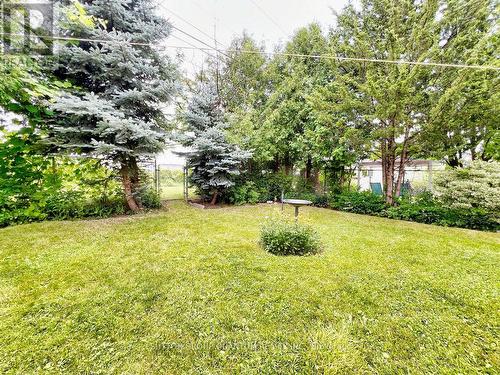 39 Elmvale Crescent, Toronto (West Humber-Clairville), ON - Outdoor