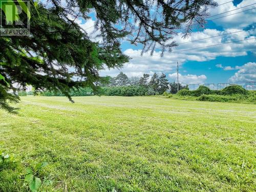 39 Elmvale Crescent, Toronto (West Humber-Clairville), ON - Outdoor With View