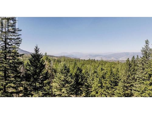 6470 Mckinney Road, Oliver, BC - Outdoor With View