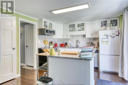 10405 Shenandoah, Windsor, ON - Indoor Photo Showing Kitchen