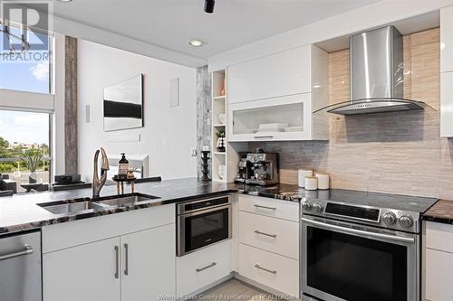 2175 Wyandotte Street East Unit# 304, Windsor, ON - Indoor Photo Showing Kitchen With Double Sink