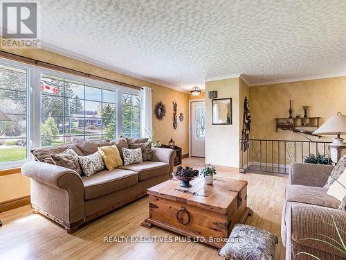 936125 Airport Road N, Mulmur, ON - Indoor Photo Showing Living Room