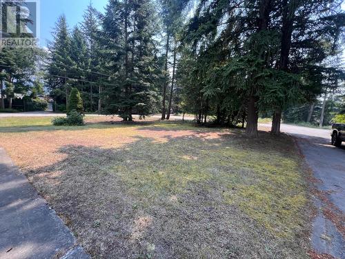 972 Dogwood Drive, South Slocan, BC - Outdoor With View