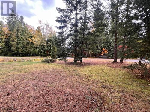 972 Dogwood Drive, South Slocan, BC - Outdoor