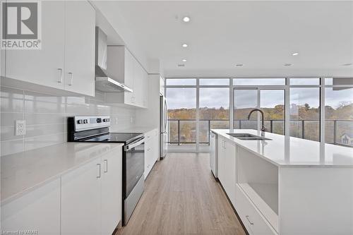 50 Grand Avenue S Unit# 801, Cambridge, ON - Indoor Photo Showing Kitchen With Stainless Steel Kitchen With Double Sink With Upgraded Kitchen