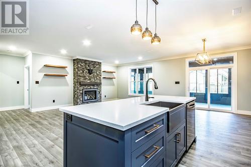 22 Reddley Place, Conception Bay South, NL - Indoor Photo Showing Kitchen With Fireplace