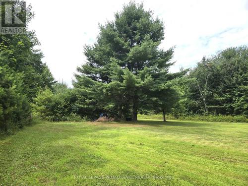 1769 Bordenwood Road, Central Frontenac (Frontenac Centre), ON - Outdoor With View