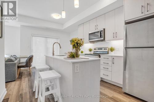 G3 - 20 Palace Street, Kitchener, ON - Indoor Photo Showing Kitchen