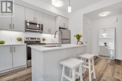 G3 - 20 Palace Street, Kitchener, ON - Indoor Photo Showing Kitchen With Upgraded Kitchen