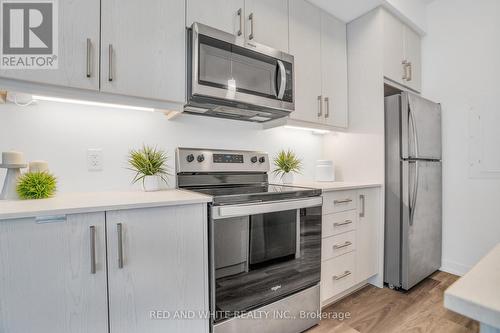 G3 - 20 Palace Street, Kitchener, ON - Indoor Photo Showing Kitchen With Upgraded Kitchen