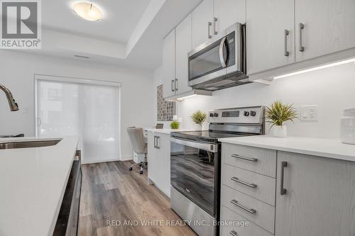 G3 - 20 Palace Street, Kitchener, ON - Indoor Photo Showing Kitchen With Upgraded Kitchen