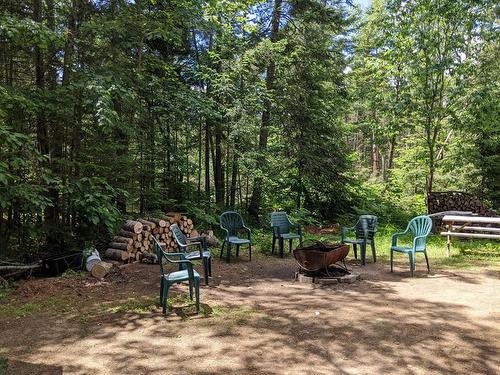 Backyard - 7 Rue Des Malards, Sainte-Marguerite-Du-Lac-Masson, QC - Outdoor