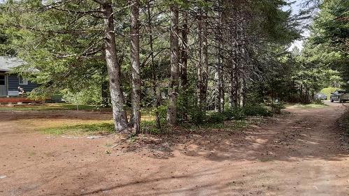 Land/Lot - 7 Rue Des Malards, Sainte-Marguerite-Du-Lac-Masson, QC - Outdoor