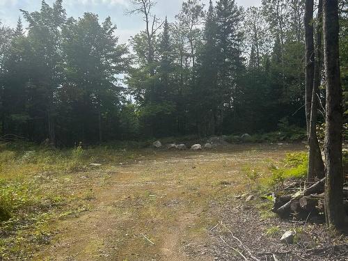 Land/Lot - Route 125, Notre-Dame-De-La-Merci, QC 