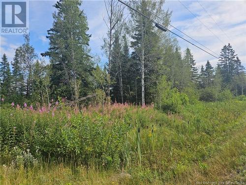 Vacant Lot Route 17, Saint-Léonard, NB 