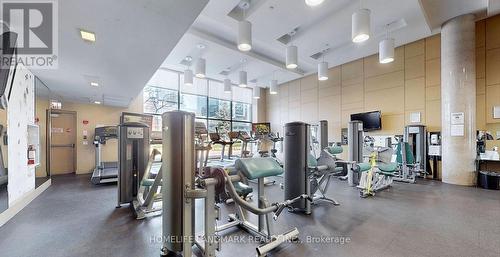 833 - 8 Telegram Mews, Toronto (Waterfront Communities), ON - Indoor Photo Showing Gym Room