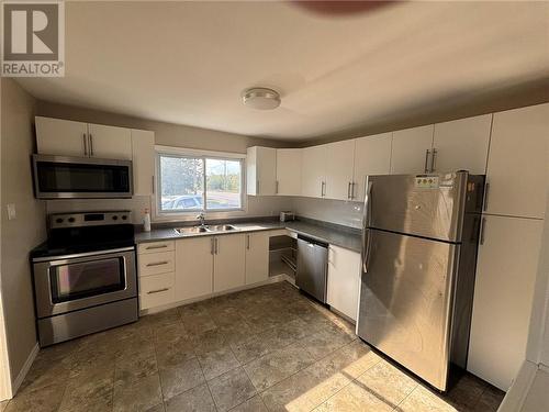 653 Ontario Street, Sudbury, ON - Indoor Photo Showing Kitchen With Double Sink